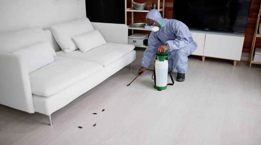 Why choose APC Covington for apartment pest control in Covington